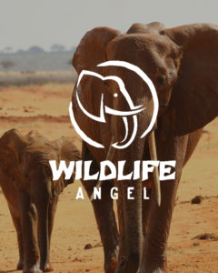 Association wildlife OMNIA IN UNO